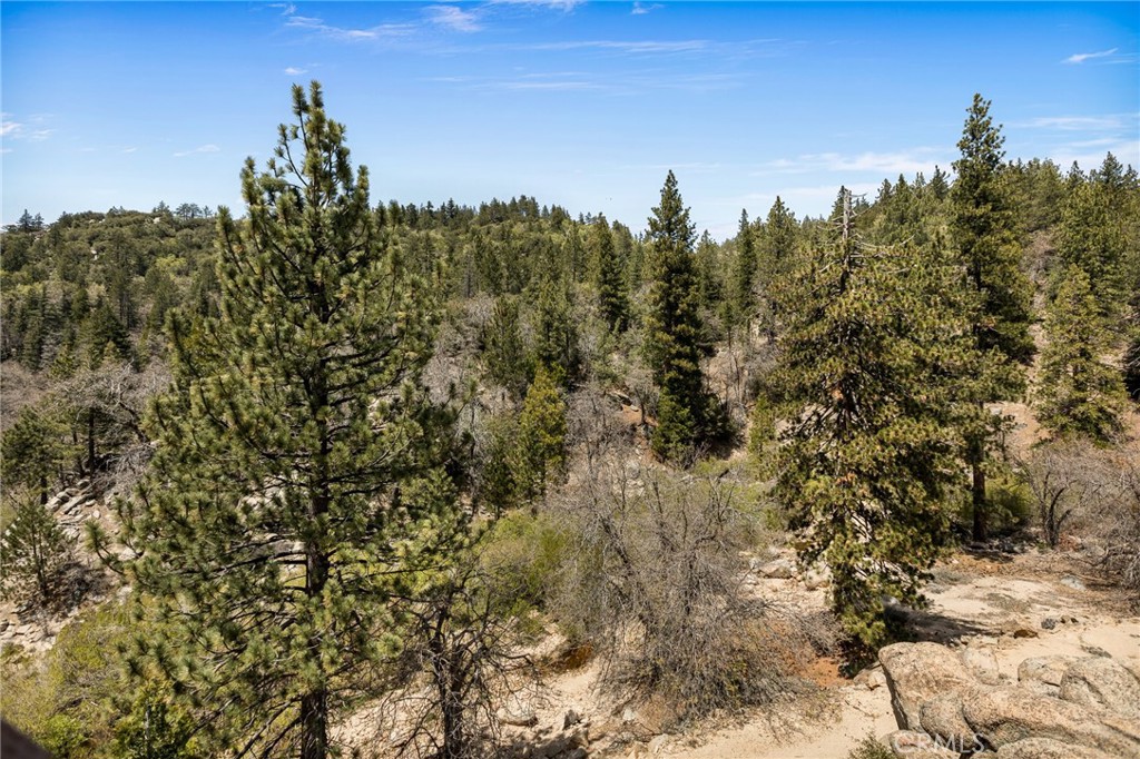 33141 Big Bear Lake Road Property Photo 10