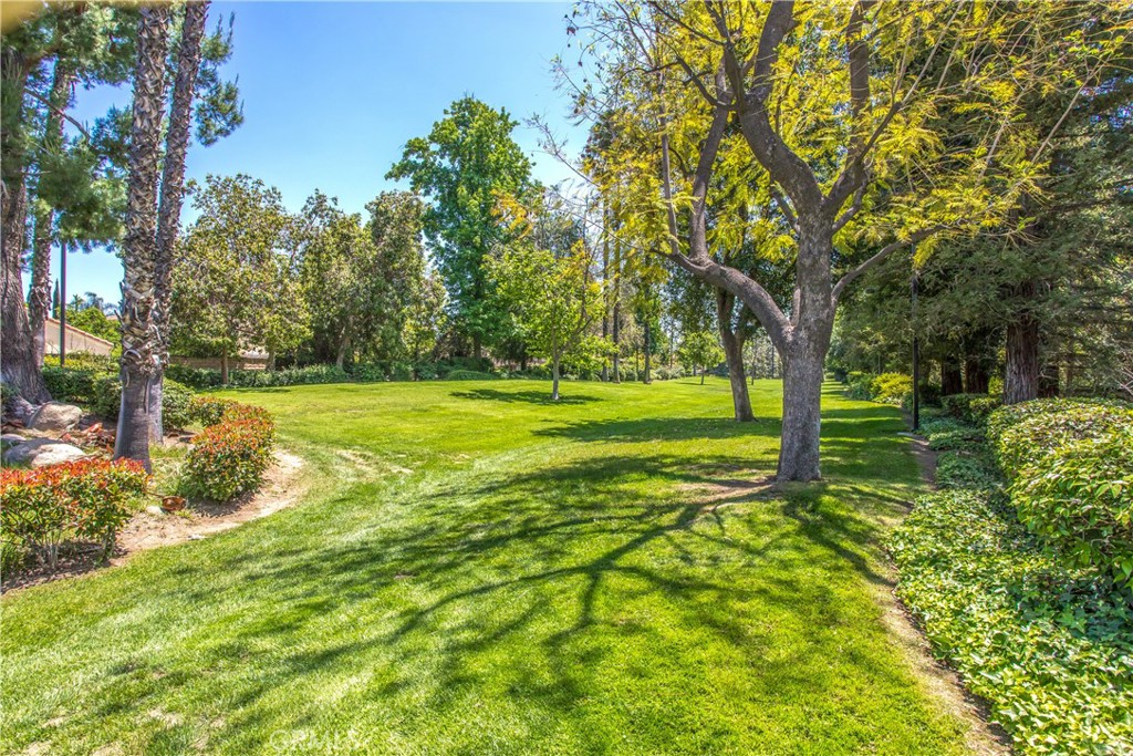 1125 Via Nice Property Photo 30