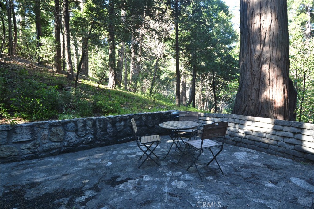 27245 Little Bear Property Photo 21