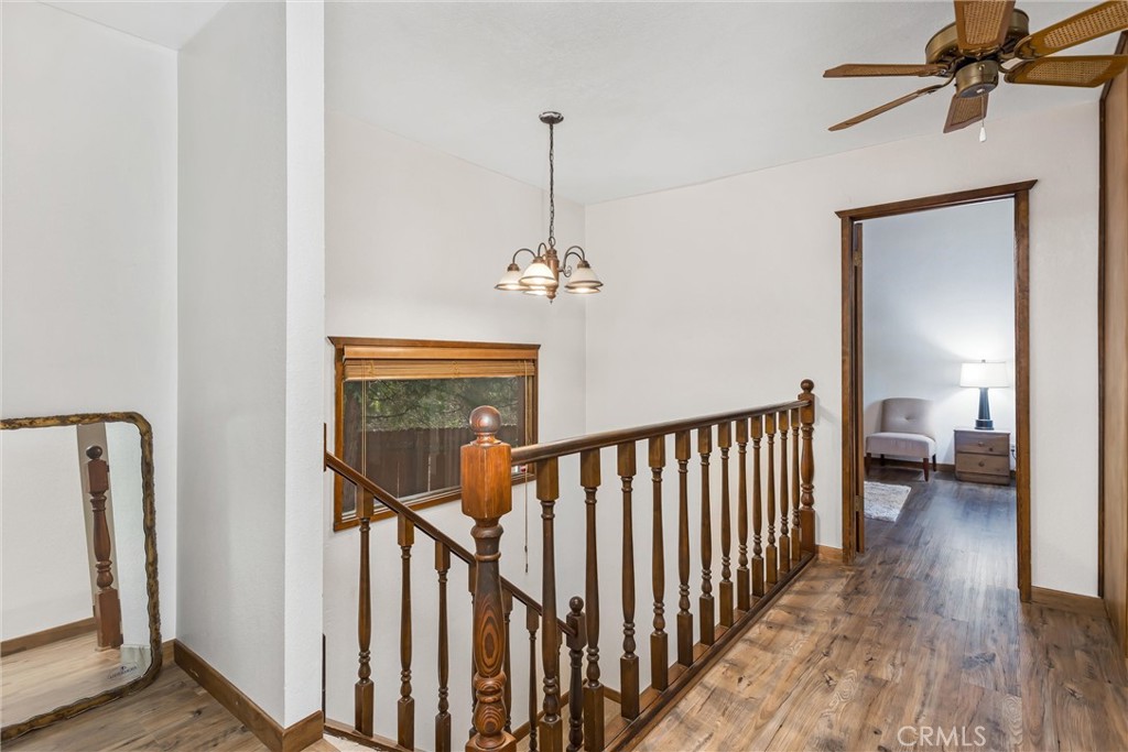 24379 Horst Property Photo 20