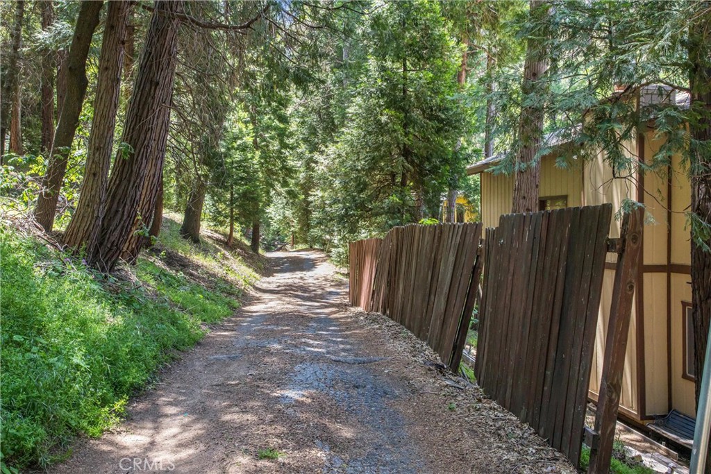 24379 Horst Property Photo 32