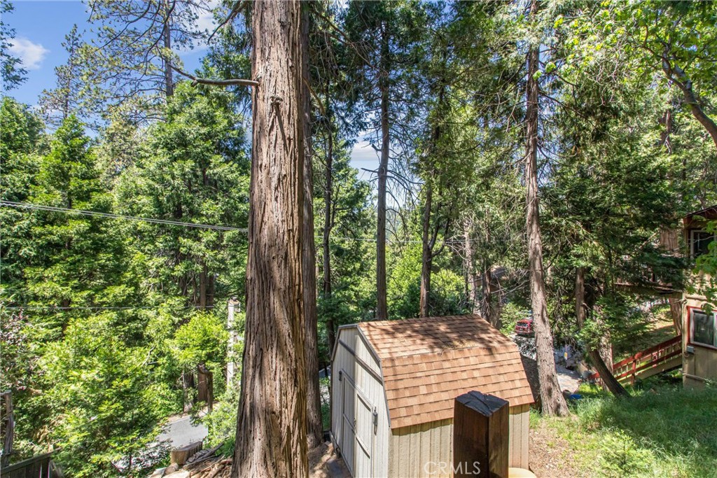 24379 Horst Property Photo 33