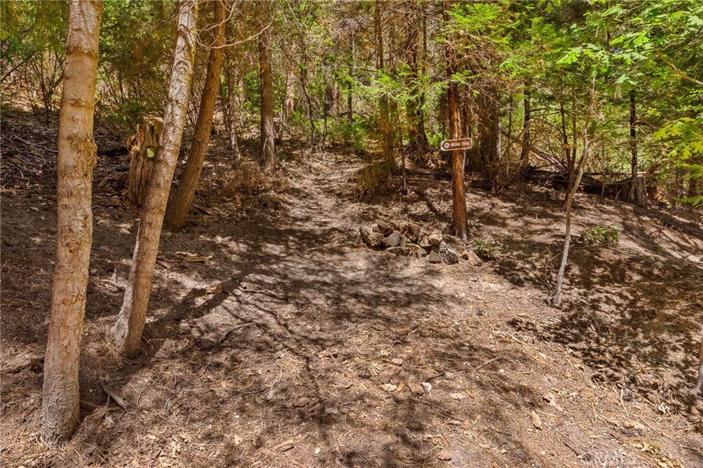 27010 State Highway 189 Property Photo 26