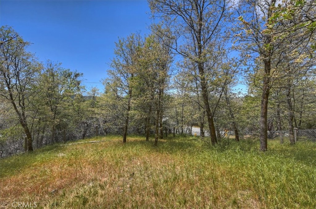 28669 Teton Lane Property Photo 43