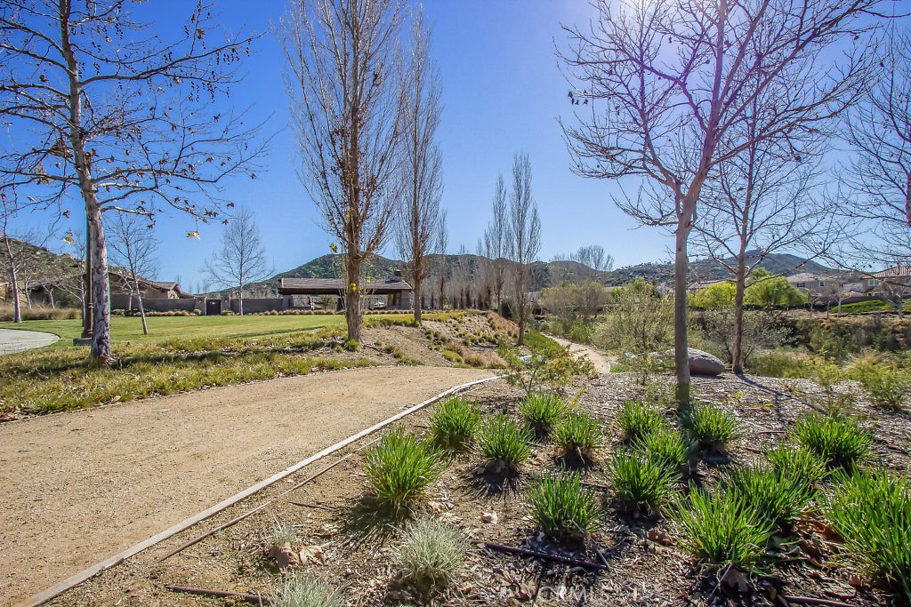 36456 Shedera Property Photo 56