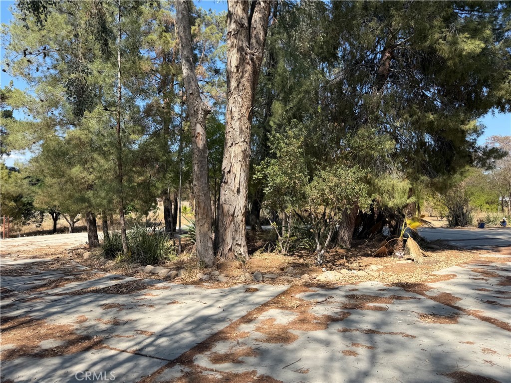 41135 Gause Property Photo 2