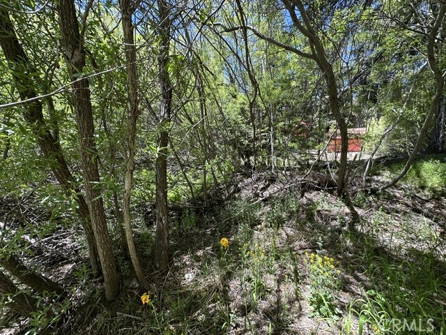 0 Wild Rose Property Photo 4