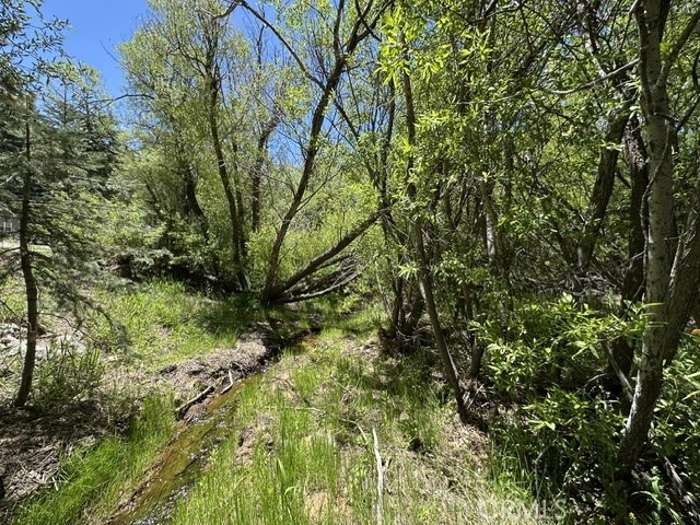 0 Wild Rose Property Photo 6