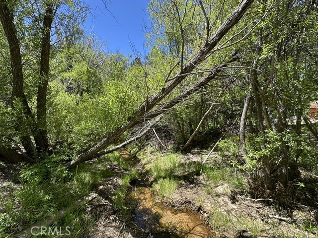 0 Wild Rose Property Photo 7
