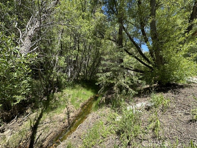 0 Wild Rose Property Photo 8