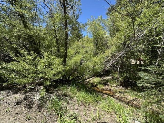 0 Wild Rose Property Photo 9