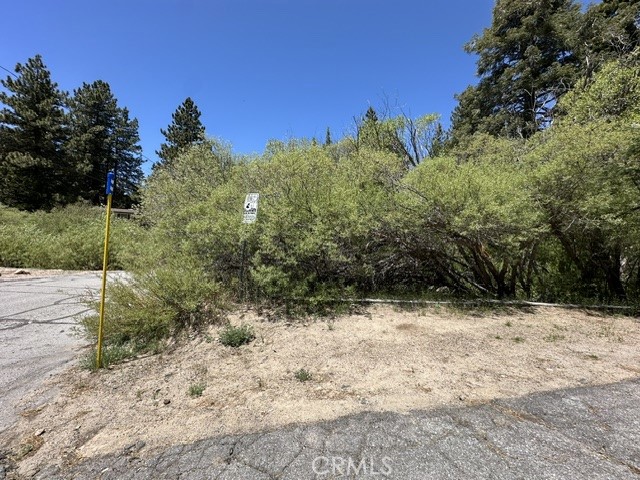 0 Wild Rose Property Photo 10