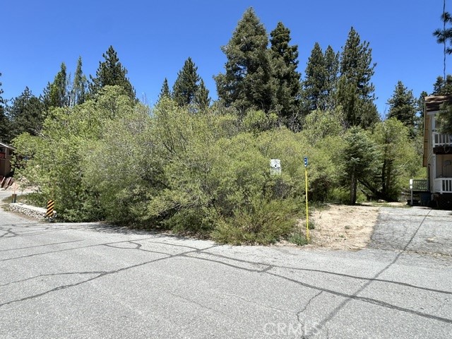 0 Wild Rose Property Photo 11