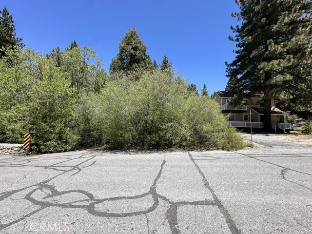 0 Wild Rose Property Photo 12