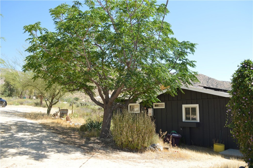 10225 Pinon Property Photo 7