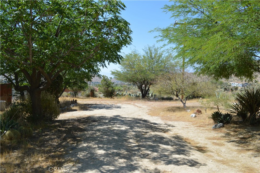 10225 Pinon Property Photo 12