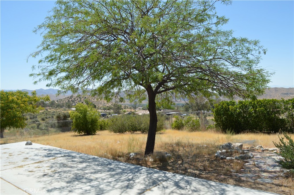 10225 Pinon Property Photo 16