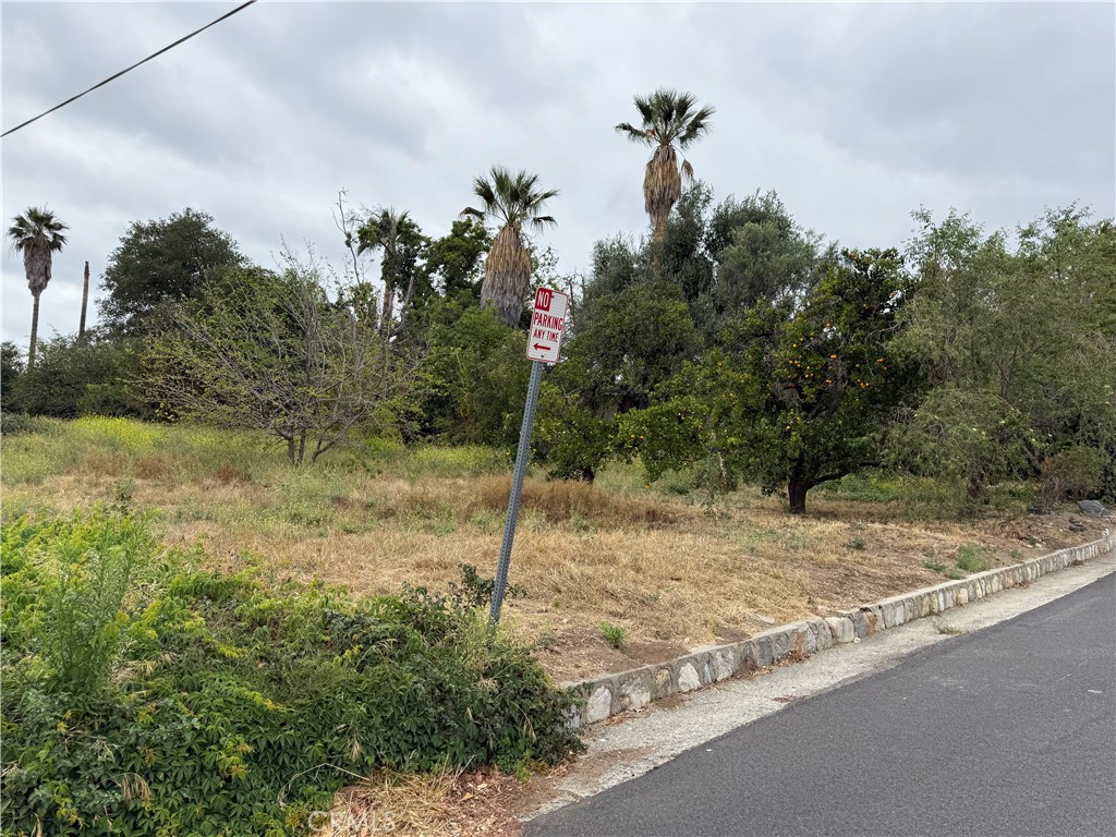 2415 Sierra Property Photo 11