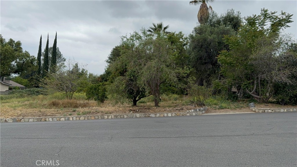 2415 Sierra Property Photo 12