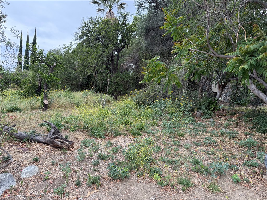 2415 Sierra Property Photo 16