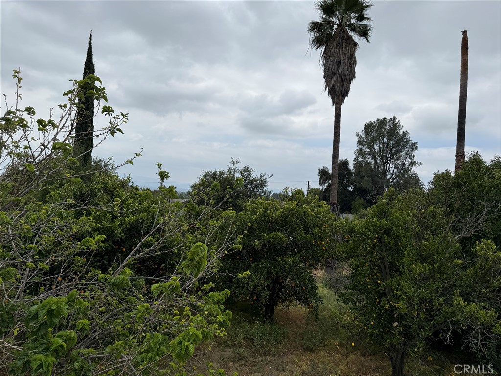 2415 Sierra Property Photo 17