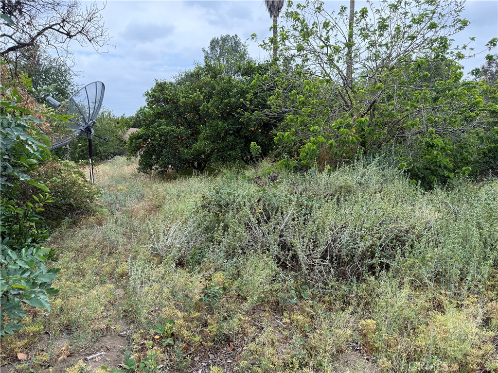 2415 Sierra Property Photo 18