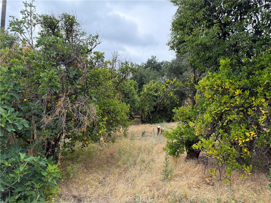 2415 Sierra Property Photo 19