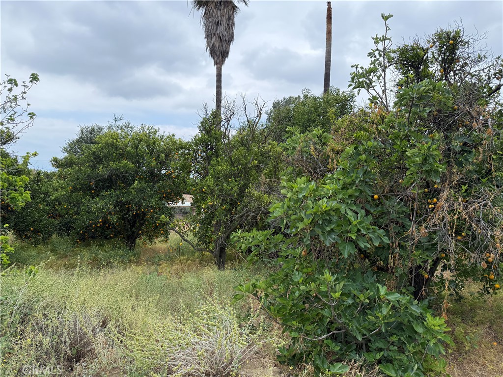 2415 Sierra Property Photo 21