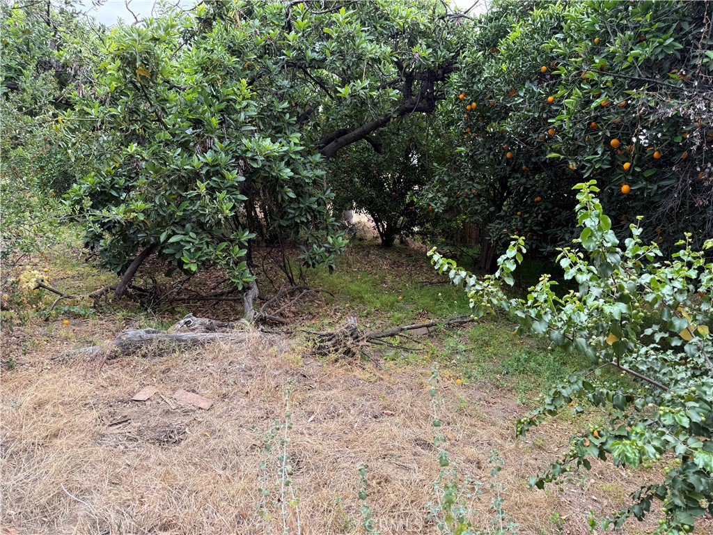 2415 Sierra Property Photo 24