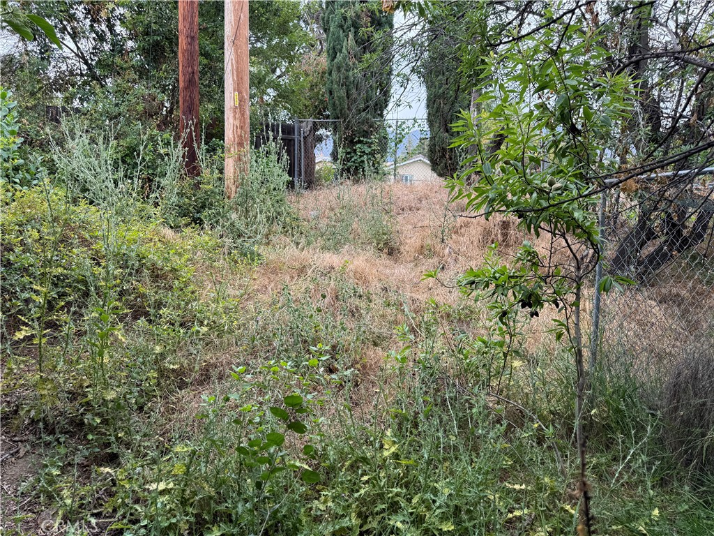 2415 Sierra Property Photo 25