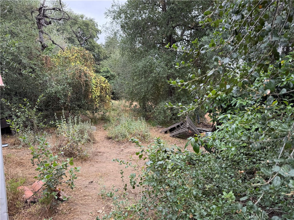 2415 Sierra Property Photo 26