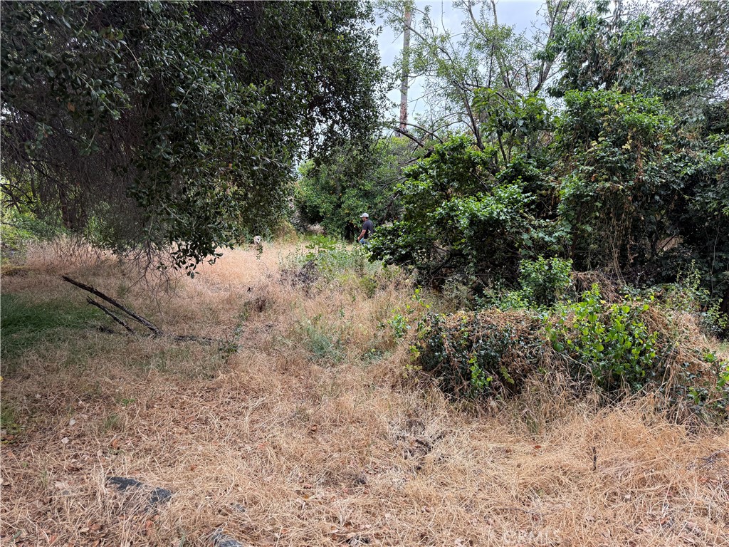 2415 Sierra Property Photo 27