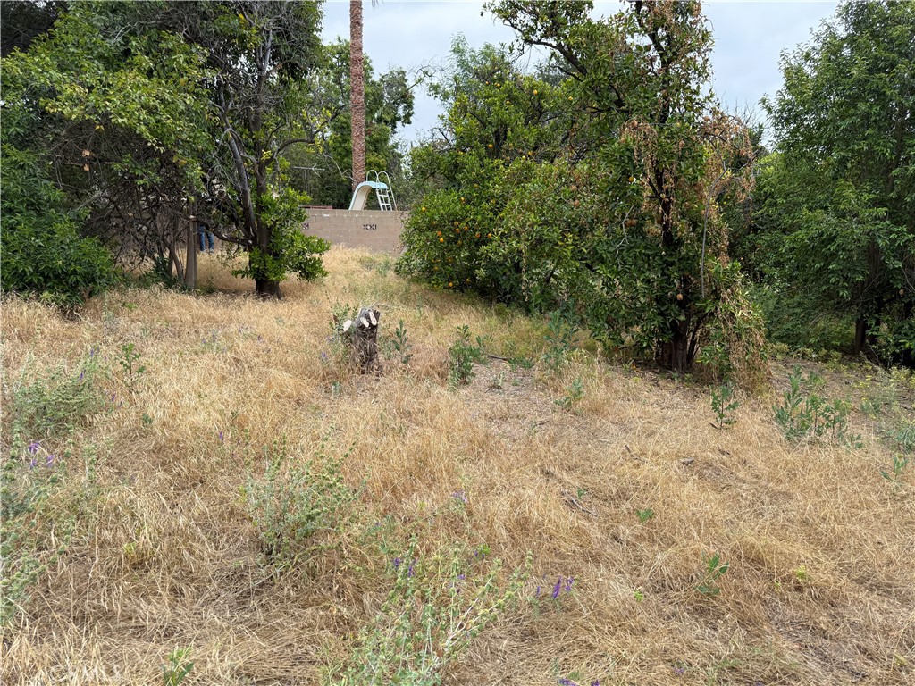 2415 Sierra Property Photo 28