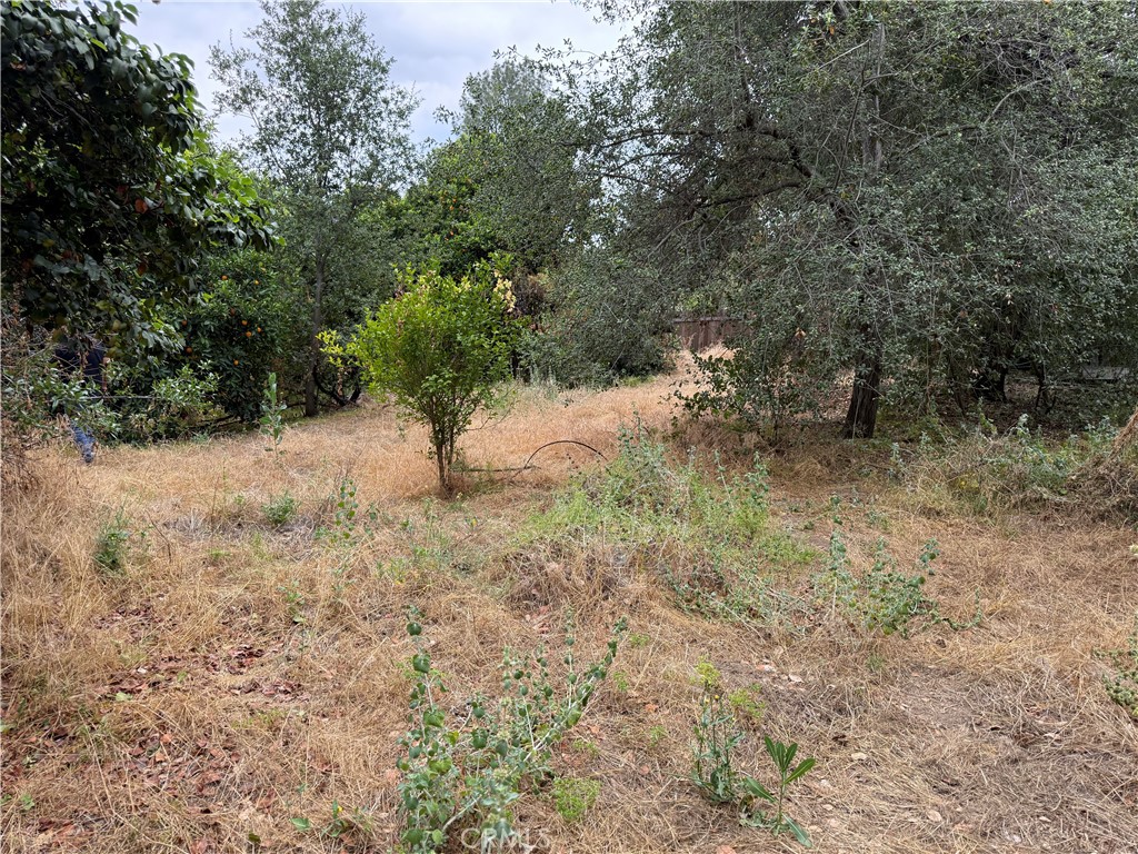 2415 Sierra Property Photo 29