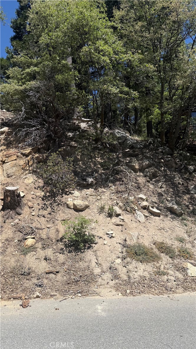 0 Thunderbird Property Photo 1