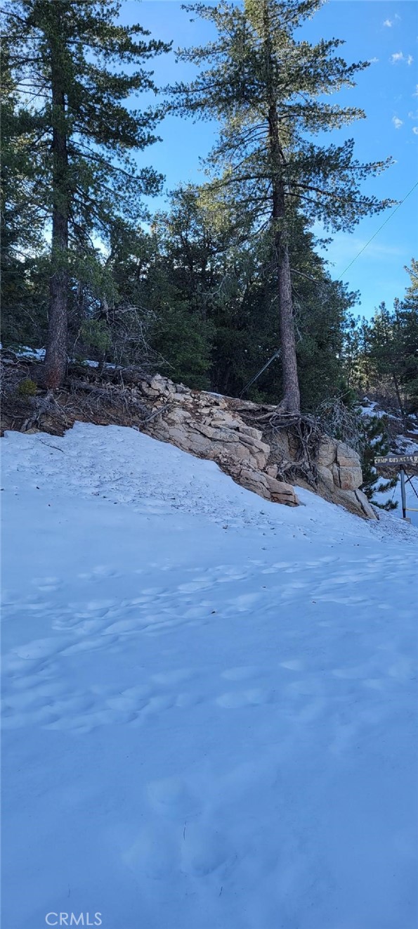 0 No Assigned Property Photo 4