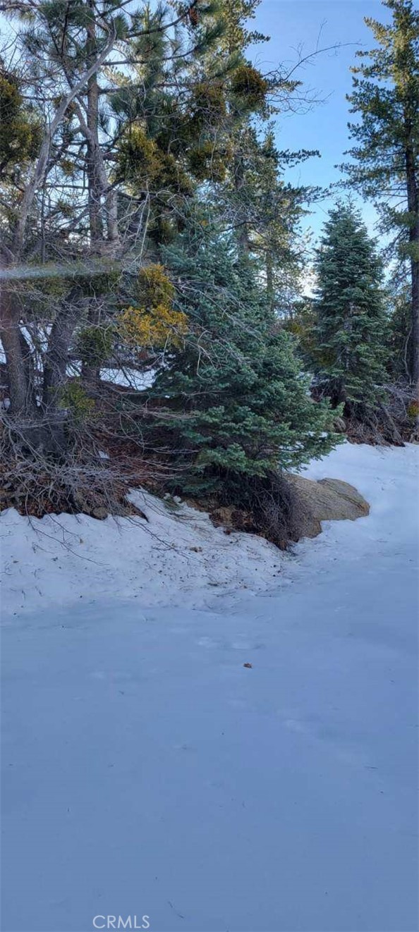 0 No Assigned Property Photo 6