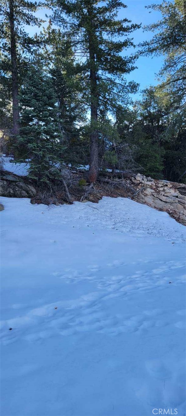 0 No Assigned Property Photo 7