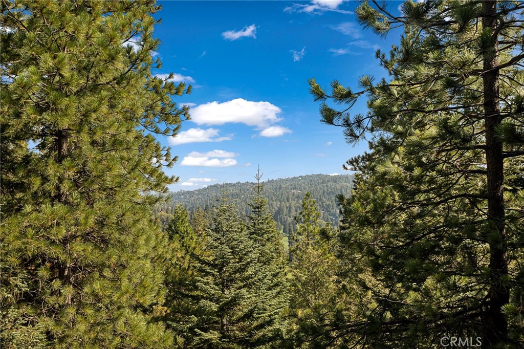 26566 Spyglass Property Photo 40