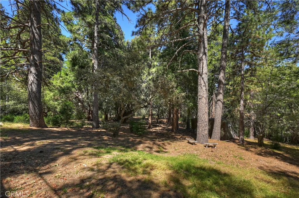 550 Coyote Trail Property Photo 63