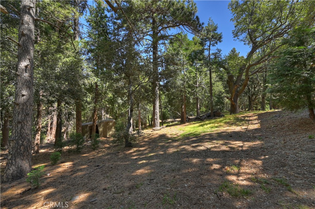 550 Coyote Trail Property Photo 64