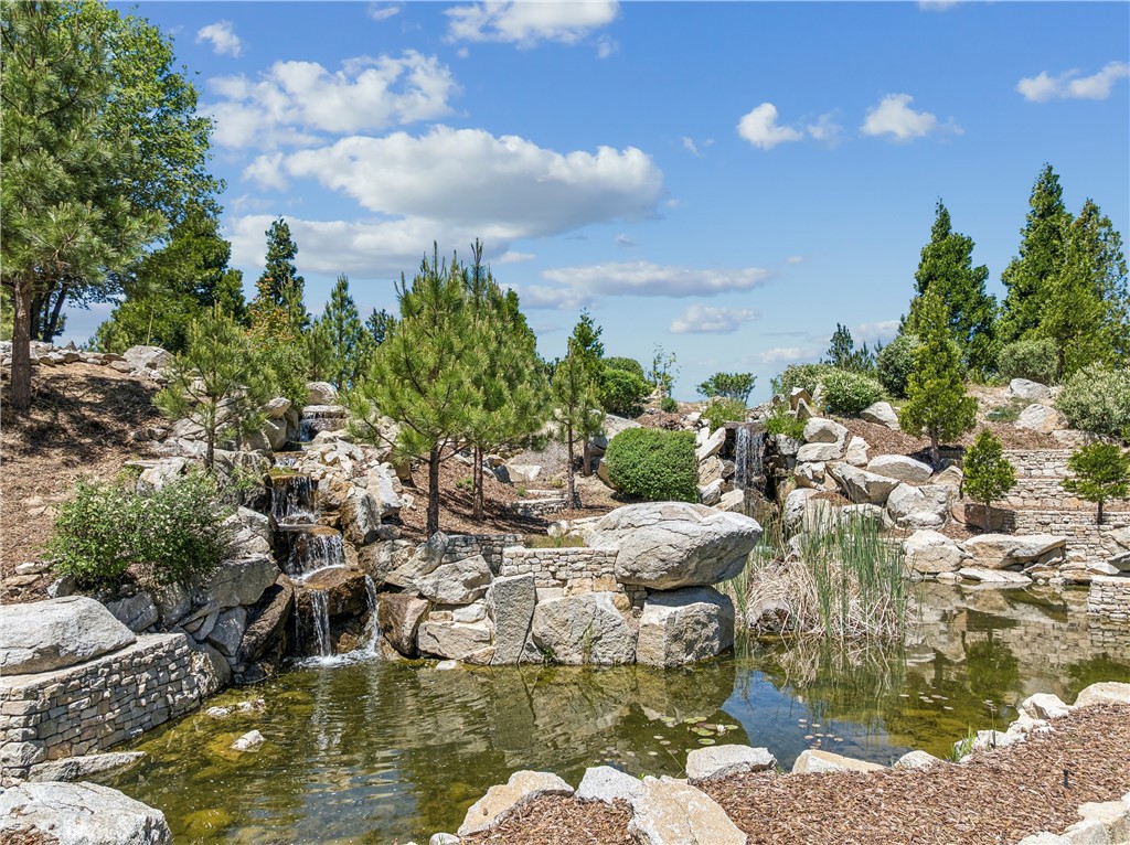 280 Ponderosa Peak Property Photo 4