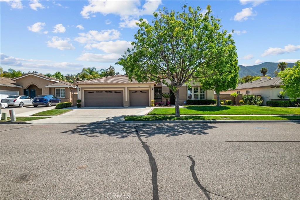 1856 Plainfield Property Photo 49