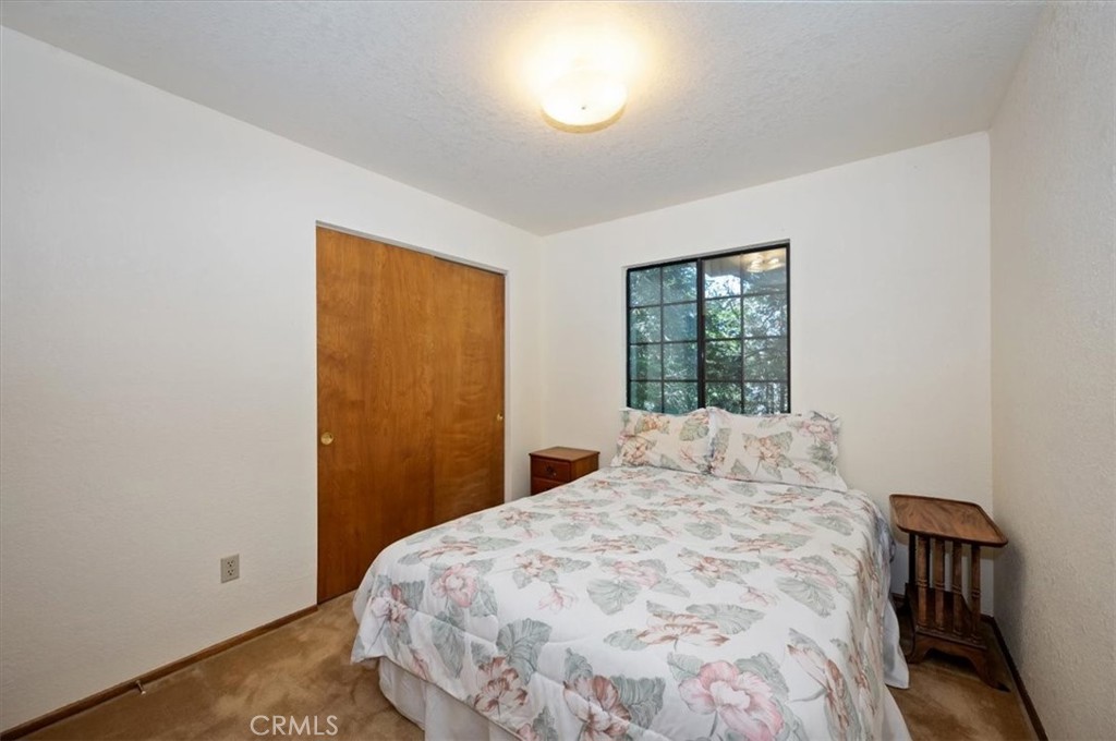 955 Coulter Pine Property Photo 21