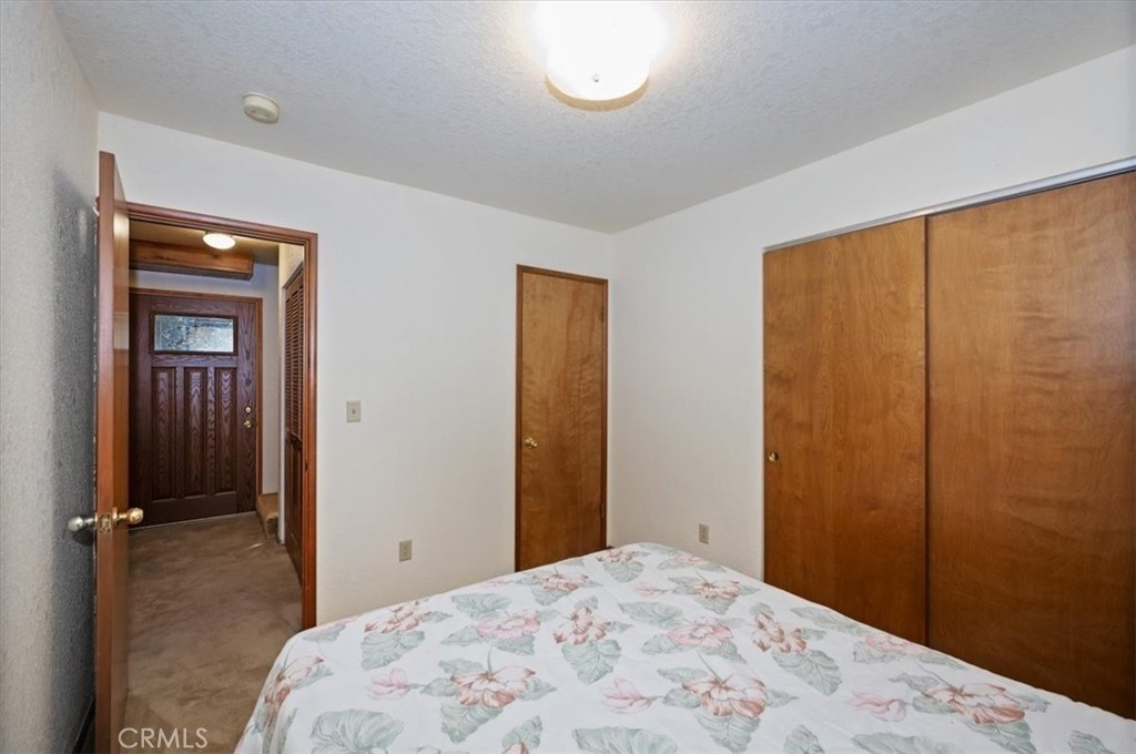 955 Coulter Pine Property Photo 23