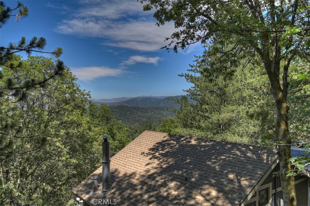 955 Coulter Pine Property Photo 33
