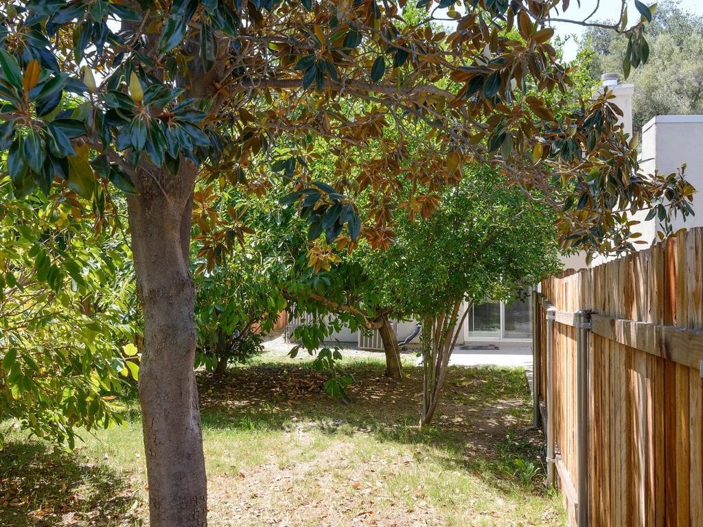 5742 Magnolia Property Photo 23