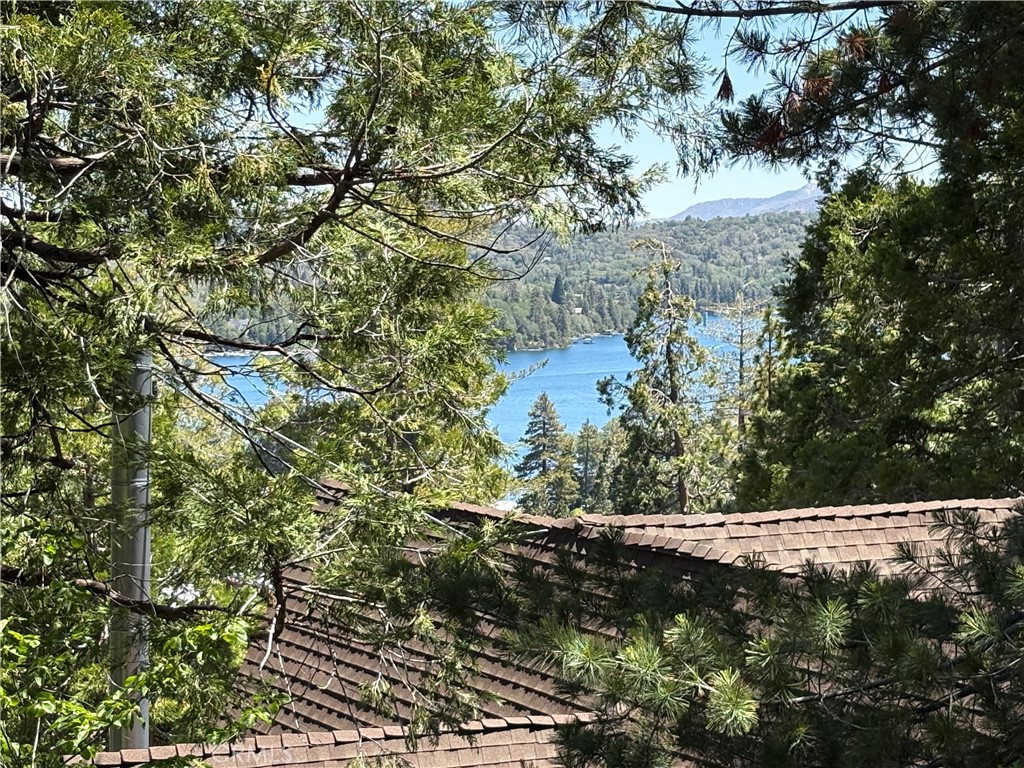349 Castle Gate Property Photo 5