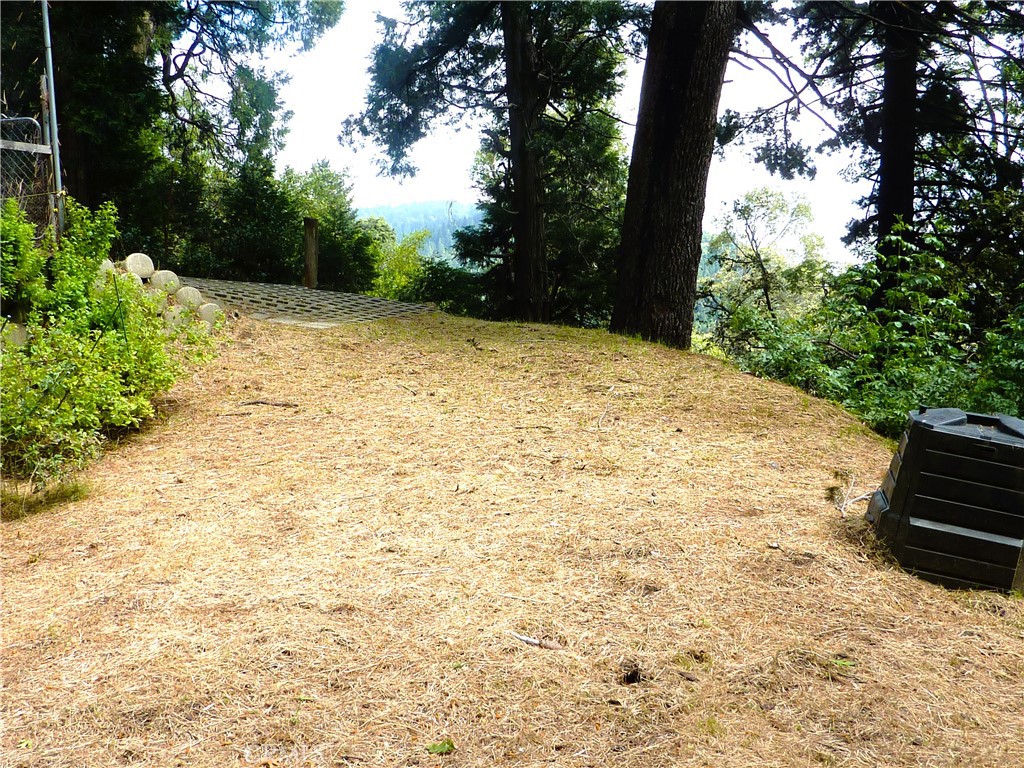 21531 Sawpit Canyon Road Property Photo 60