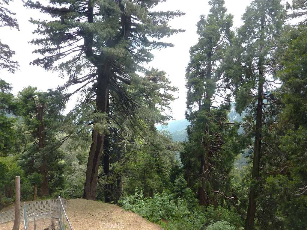 21531 Sawpit Canyon Road Property Photo 61
